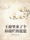 王府里来了个捡破烂的崽崽